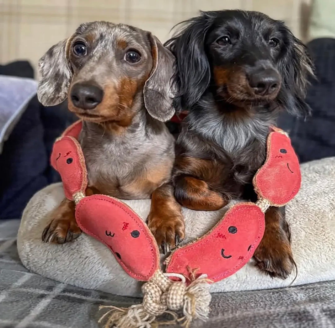 Eco Dog Toy - Sizzle Sisters