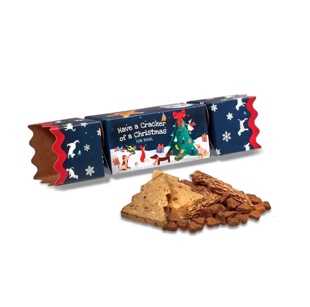 Christmas Cracker