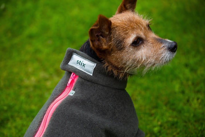 Small Terrier Dog Coat