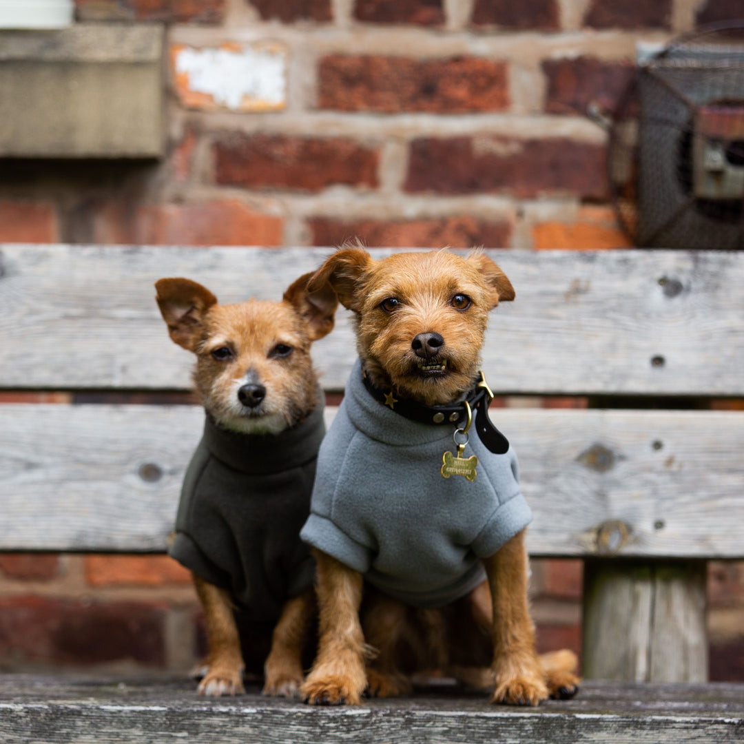 Small Terrier Dog Coat