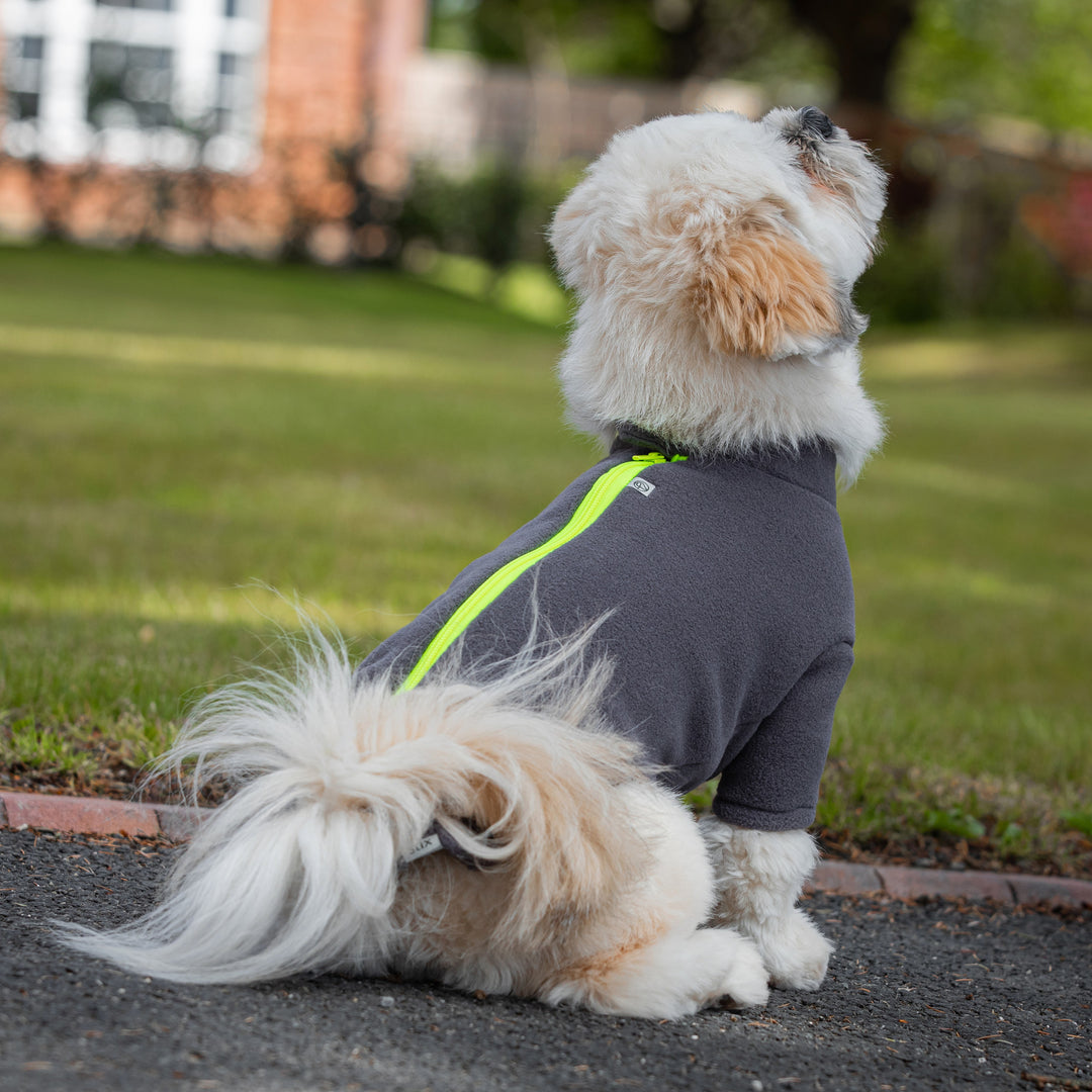 Lhasa Apso Dog Coat