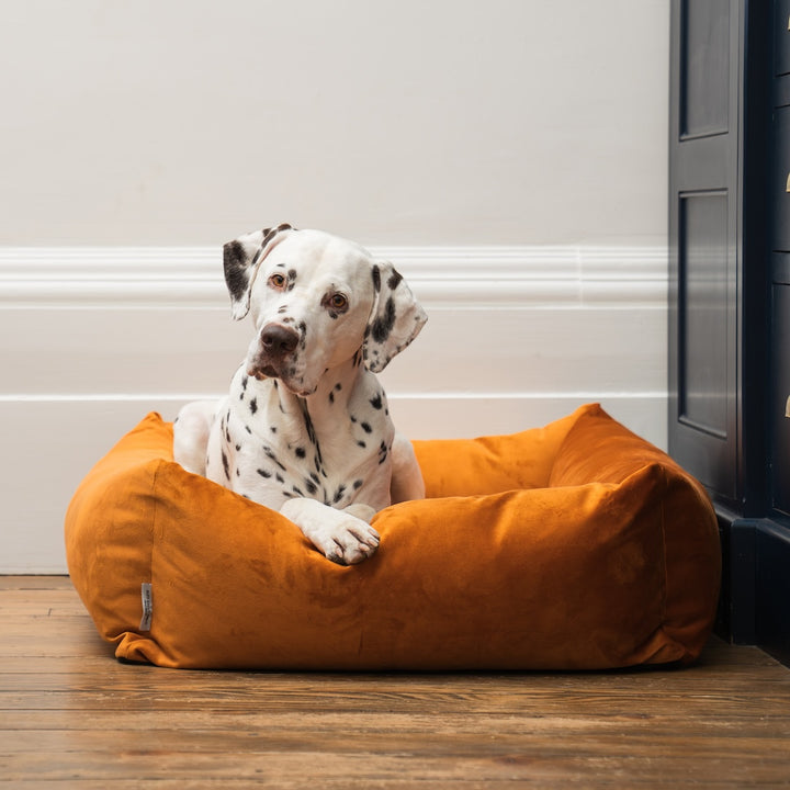 Burnham Bolster Dog Bed - Burnt Orange