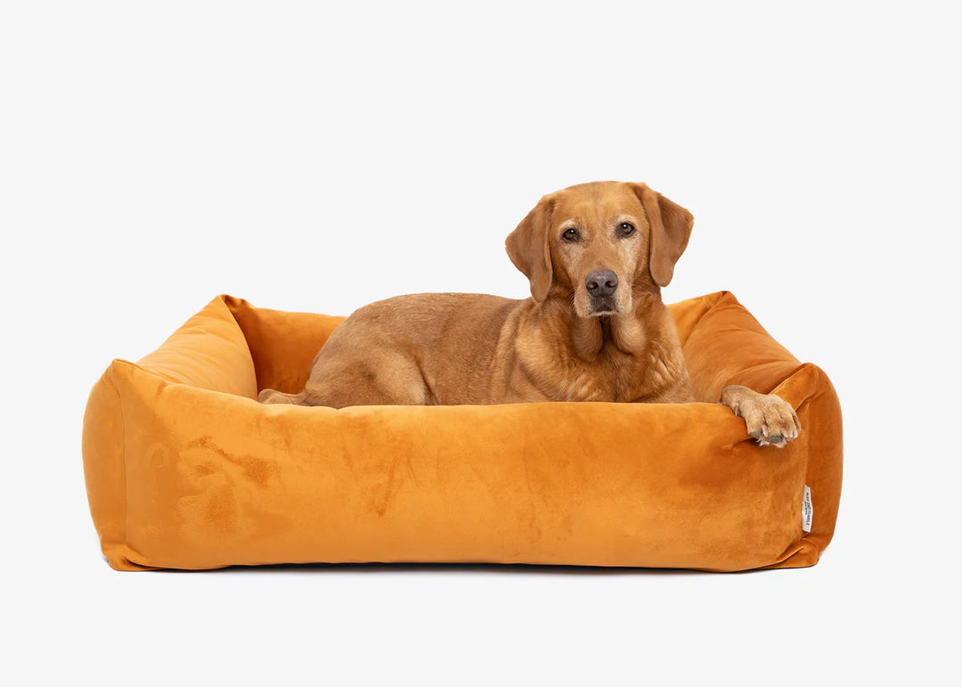 Burnham Bolster Dog Bed - Burnt Orange