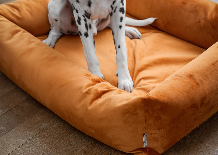 Burnham Bolster Dog Bed - Burnt Orange