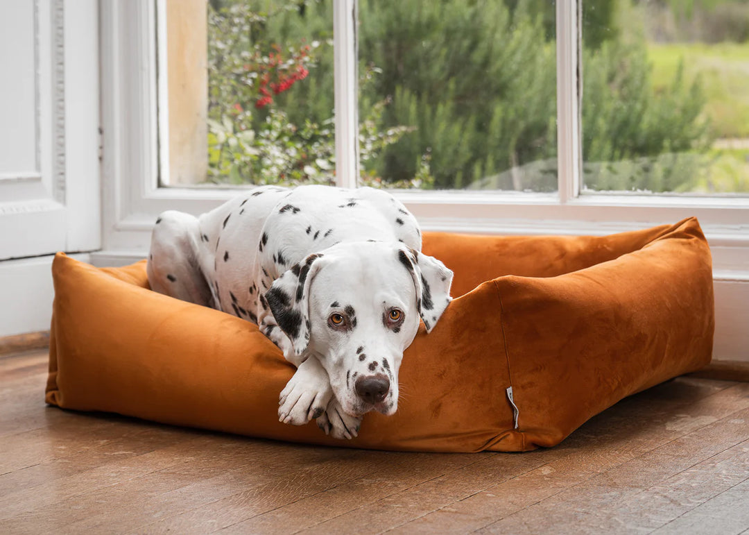 Burnham Bolster Dog Bed - Burnt Orange