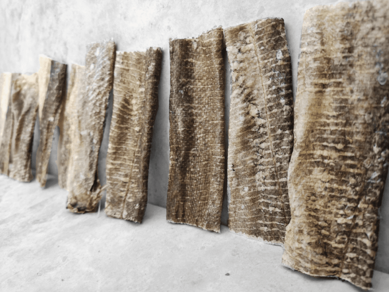 Whitefish Jerky Dog Chews UK Goodchaps- House Of Dog