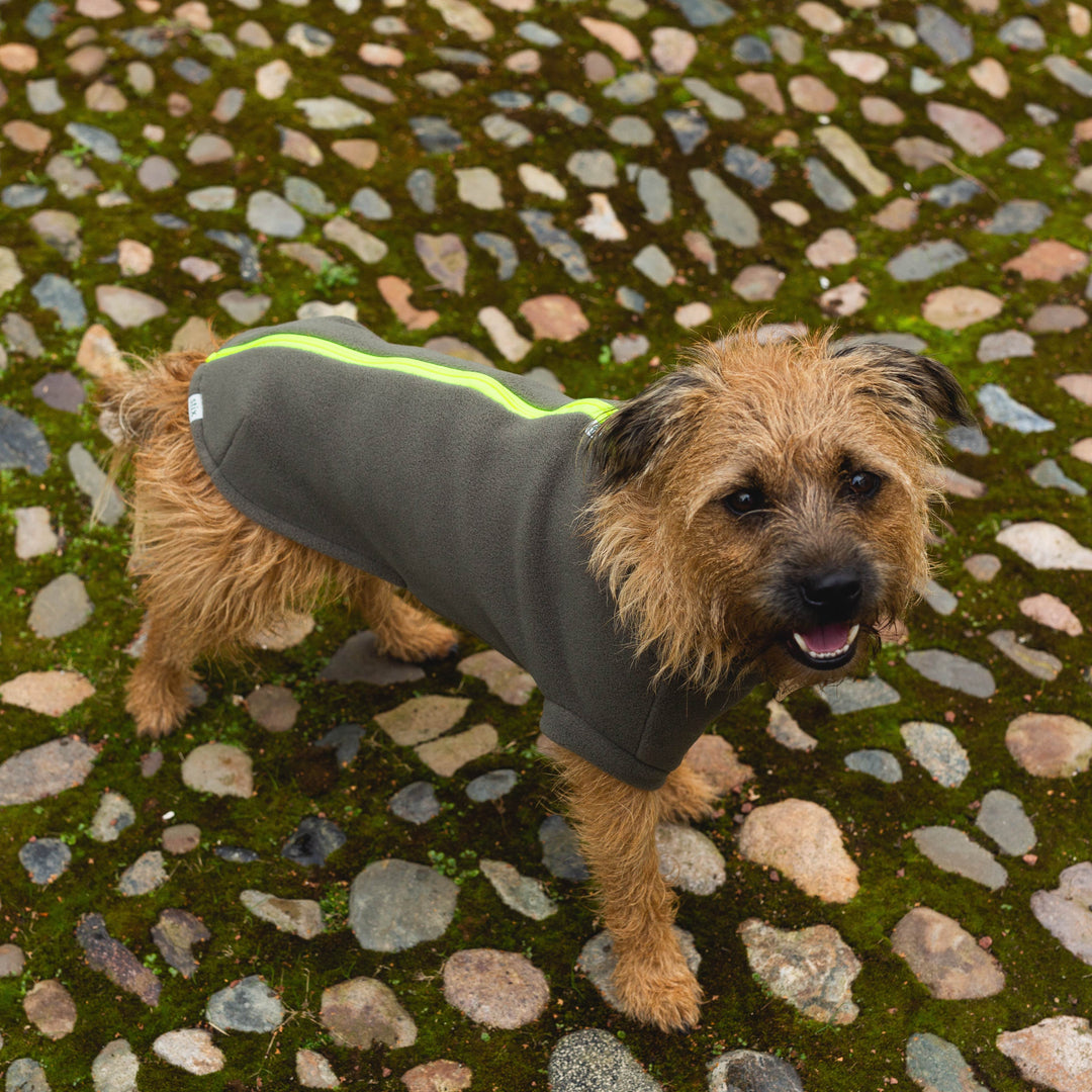 Large Terrier Dog Coat