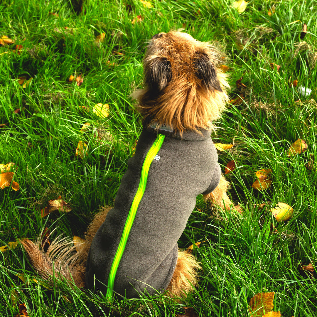Large Terrier Dog Coat